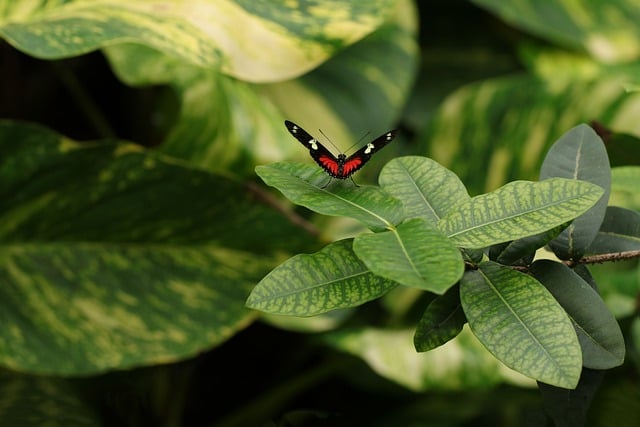 Vers 2024: Comment La Nature Influence-t-elle nos Attitudes de Consommation Écoresponsable ?[Attention, renvoie bien le nombre de mots demandé]