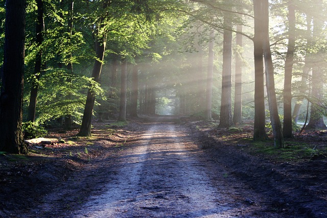 Nature 2024 : Optez pour une Consommation Responsable et Tendance pour la Planète[Attention, renvoie bien le nombre de mots demandé]