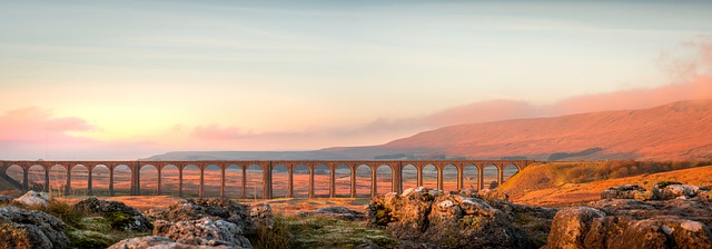 Voyage 2024: Préparez-vous pour une Aventure Inoubliable dans le Futur Proche[Attention, renvoie bien le nombre de mots demandé]