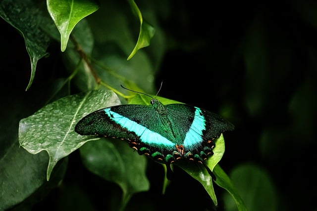 Loisirs Verts en 2024: Comment la Consommation Écoresponsable Transforme Notre Rapport à la Nature[Attention, renvoie bien le nombre de mots demandé]