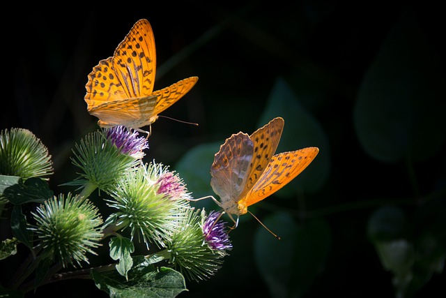 Nature 2024 : Comment Notre Consommation Évoluera pour un Futur Plus Vert et Durable[Attention, renvoie bien le nombre de mots demandé]