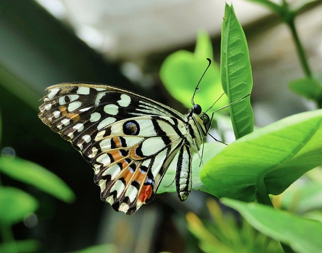 La consommation écologique de 2024 : Comment la nature influence nos modes d