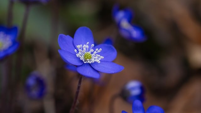 Nature 2024 : Optez pour une consommation responsable et tendance pour préserver notre avenir[Attention, renvoie bien le nombre de mots demandé]