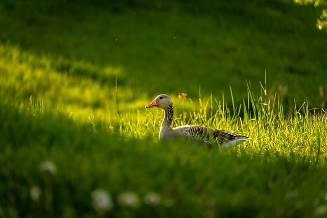 Nature 2024: Vers une Consommation Responsable et Durable pour une Planète Plus Saine[Attention, renvoie bien le nombre de mots demandé]