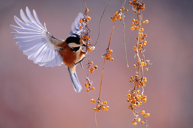 Nature 2024: Consommez Malin pour Préserver notre Environnement![Attention, renvoie bien le nombre de mots demandé][Attention, renvoie bien le nombre de mots demandé]