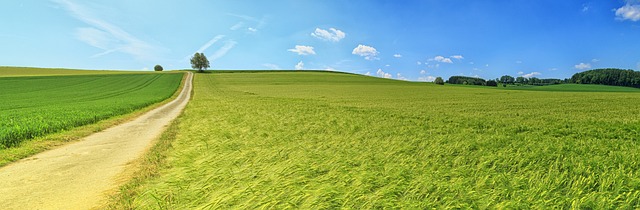 2024 : Consommer autrement pour préserver la nature, le défi de notre époque !
[Attention, renvoie bien le nombre de mots demandé]