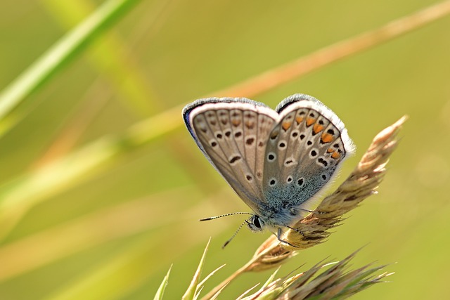 Projets écoresponsables en 2024: repenser sa consommation pour sauver la nature[Attention, renvoie bien le nombre de mots demandé]