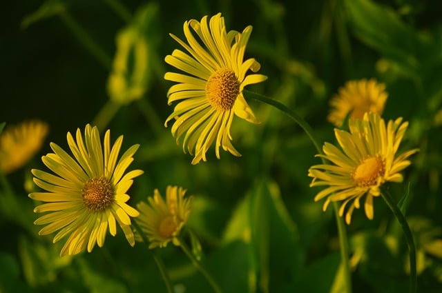 Attachons-nous à la Nature pour 2024: Consommation Durable et Tendances Émergentes[Attention, renvoie bien le nombre de mots demandé][Attention, renvoie bien le nombre de mots demandé][Attention, renvoie bien le nombre de mots demandé][Attention, renvoie bien le nombre de mots demandé]