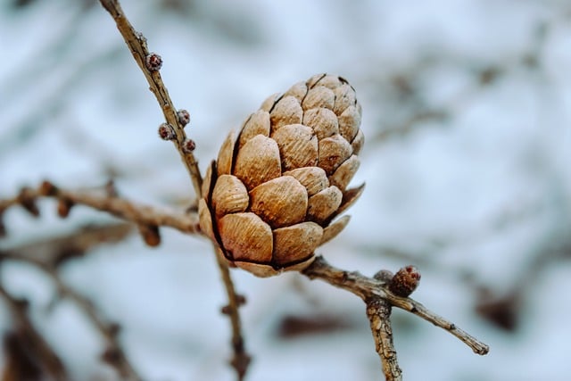 Nature 2024 : Repenser notre Consommation pour un Futur Durable[Attention, renvoie bien le nombre de mots demandé][Attention, renvoie bien le nombre de mots demandé][Attention, renvoie bien le nombre de mots demandé]