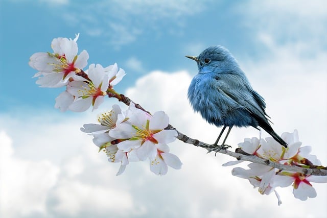 2024: Adopter une consommation respectueuse de la nature, tendance majeure[Attention, renvoie bien le nombre de mots demandé]