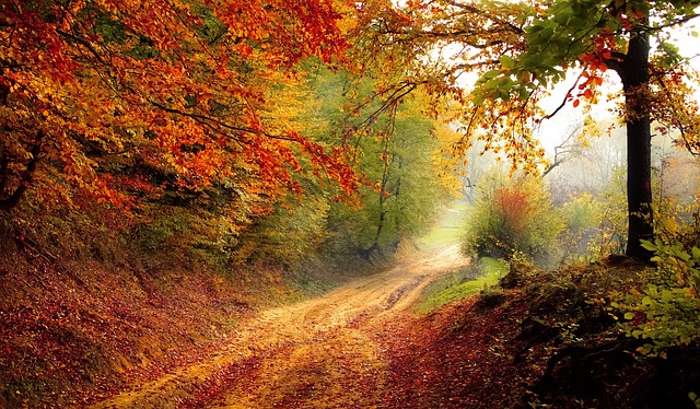 2024 : Consommation éco-responsable et amour de la nature, la tendance incontournable ![Attention, renvoie bien le nombre de mots demandé]