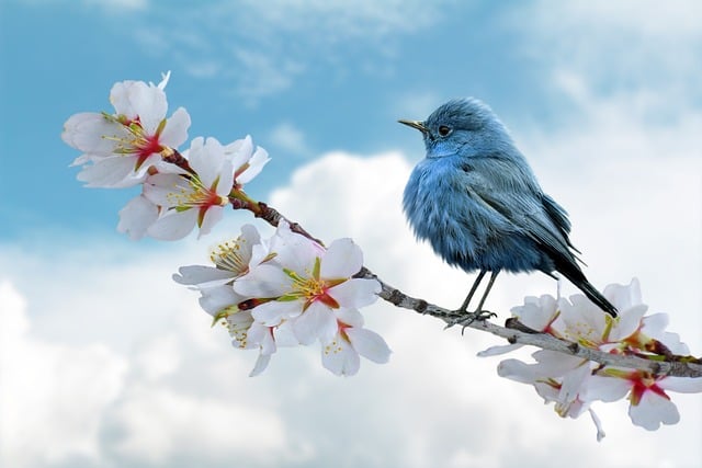 Consommation Eco-responsable : Comment la Nature va-t-elle influencer nos choix d