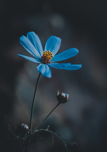 Nature 2024: Comment nos modes de consommation influenceront-ils l
