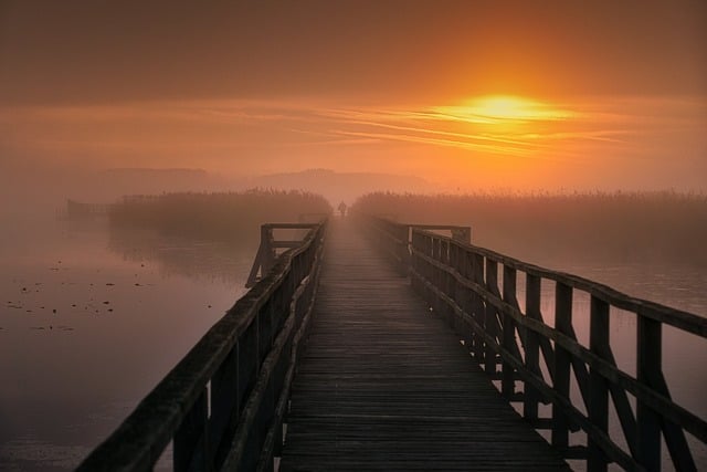 Nature 2024 : Les meilleures pratiques de consommation responsable pour préserver notre environnement[Attention, renvoie bien le nombre de mots demandé]