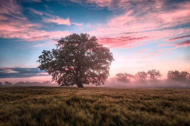2024 : Préserver la nature et repenser notre consommation pour un avenir durable et écoresponsable[Attention, renvoie bien le nombre de mots demandé]