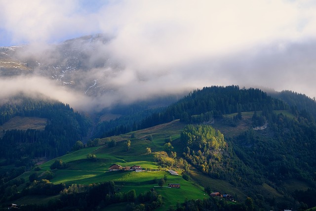 2024: La révolution écologique de nos habitudes de consommation pour sauvegarder notre précieuse nature[Attention, renvoie bien le nombre de mots demandé]