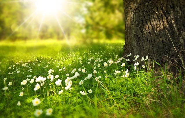 2024 : Nature et consommation responsable, l