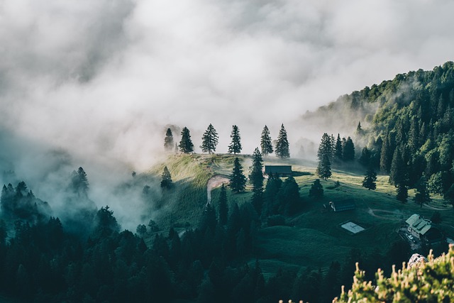 Voyage 2024 : Top des Destinations Tendances pour Découvrir le Monde en Style et en Éco-Responsabilité[Attention, renvoie bien le nombre de mots demandé]