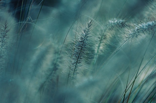 2024 : Préserver la nature et repenser sa consommation pour un avenir durable et écoresponsable[Attention, renvoie bien le nombre de mots demandé]