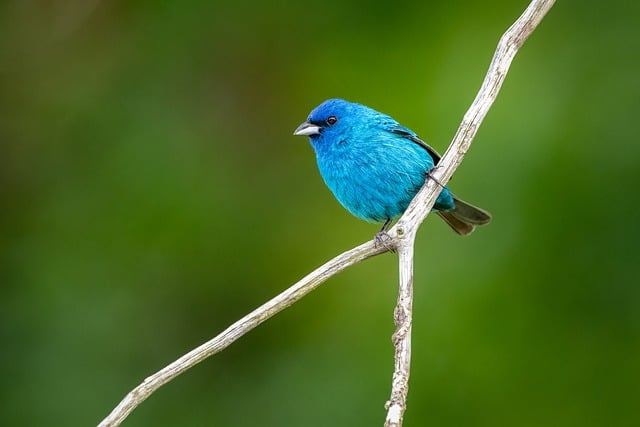 2024: Nature et consommation écoresponsable, comment adopter les comportements tendances de demain?[Attention, renvoie bien le nombre de mots demandé]