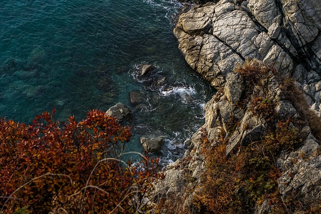 2024 : Vers une consommation éco-responsable, préservons la nature pour un avenir durable[Attention, renvoie bien le nombre de mots demandé]