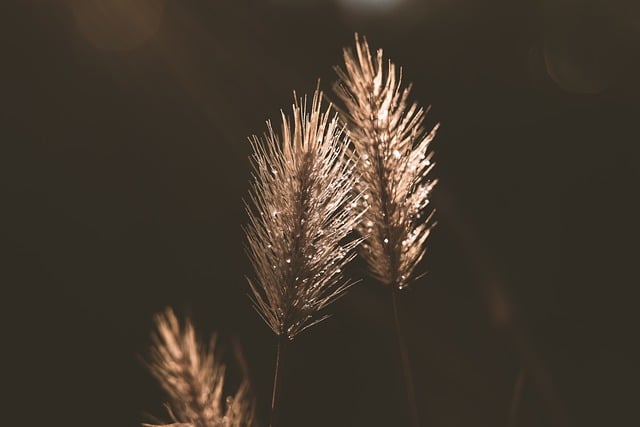 2024 : Vers un avenir éco-responsable, privilégions la nature pour une consommation durable et éthique[Attention, renvoie bien le nombre de mots demandé]