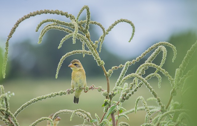 Nature 2024: Comment adopter une consommation responsable pour préserver notre planète ?[Attention, renvoie bien le nombre de mots demandé]