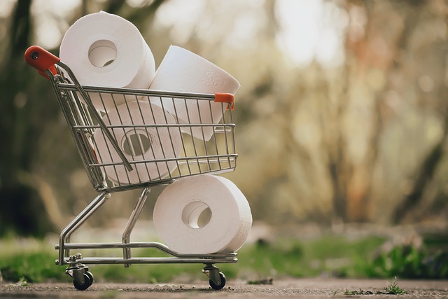 2024 : Les meilleures astuces économiques et bons plans pour une année prospère et rentable ![Attention, renvoie bien le nombre de mots demandé]