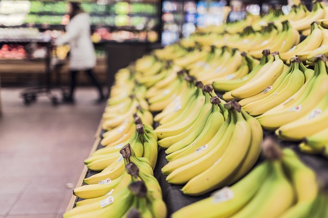 Tendance 2024 : Découvrez les meilleurs plans économiques pour booster vos finances et économiser intelligemment[Attention, renvoie bien le nombre de mots demandé]