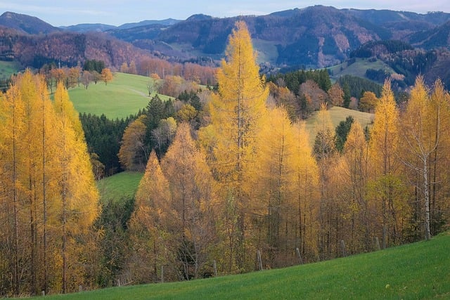 Nature 2024 : Comment adopter une consommation responsable pour préserver notre planète?[Attention, renvoie bien le nombre de mots demandé]