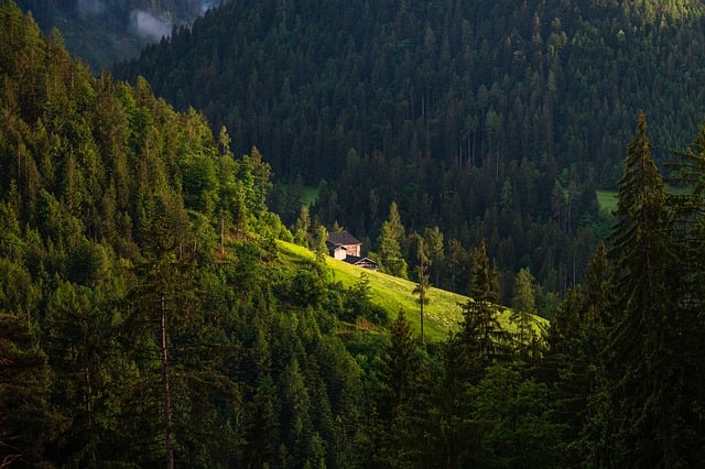 Les voyages incontournables de 2024: Top 10 des destinations à découvrir absolument cette année[Attention, renvoie bien le nombre de mots demandé]