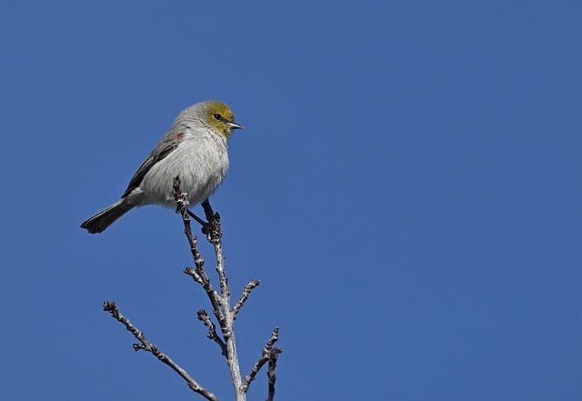 2024 : La nature reprend ses droits - 10 astuces pour une consommation responsable et écologique[Attention, renvoie bien le nombre de mots demandé]