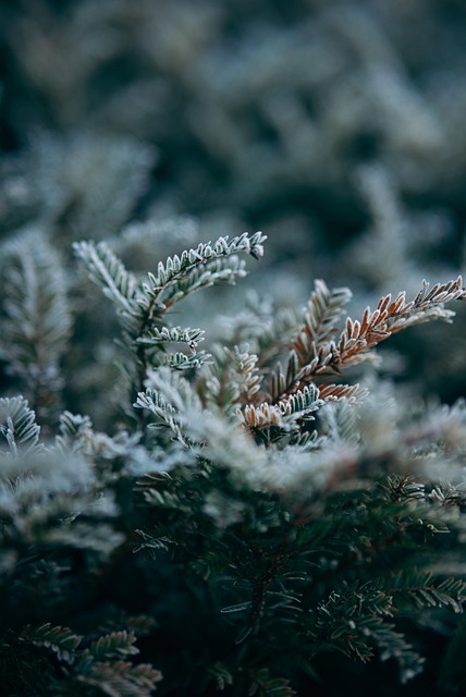 Nature 2024: Les 10 tendances éco-responsables pour révolutionner notre consommation[Attention, renvoie bien le nombre de mots demandé]