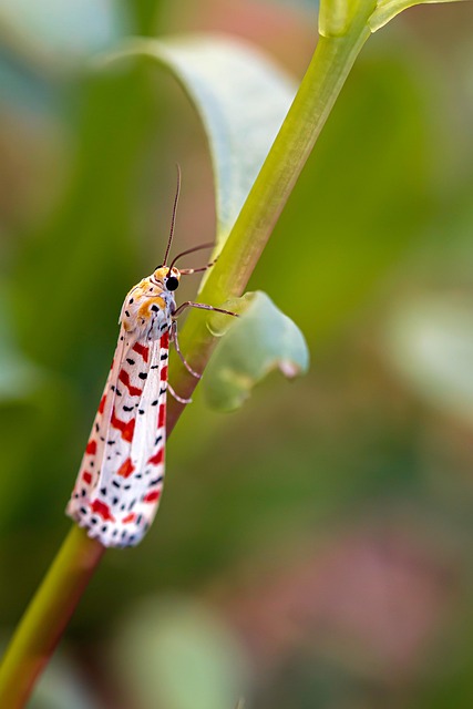 Consommer responsable en 2024 : les meilleures pratiques écoresponsables pour protéger la nature[Attention, renvoie bien le nombre de mots demandé]