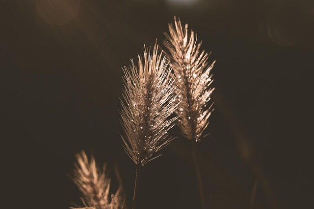 Consommer durable en 2024 Harmoniser nature et modernité pour un avenir écologique[Attention, renvoie bien le nombre de mots demandé]