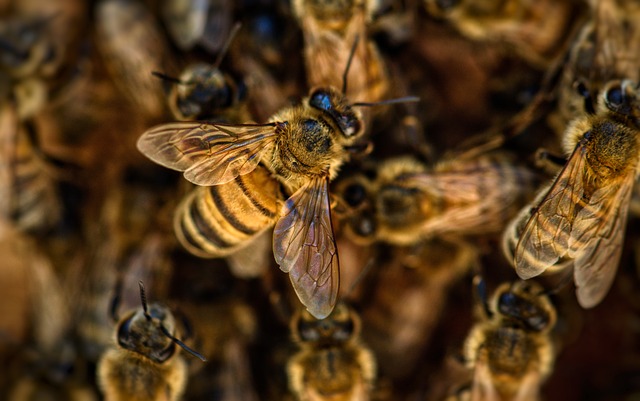 2024 vivre la nature autrement pour une consommation écoresponsable[Attention, renvoie bien le nombre de mots demandé]