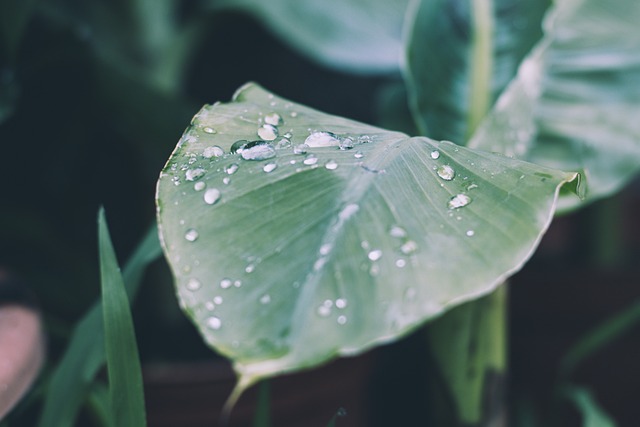 Consommer autrement en 2024 les astuces green pour préserver la nature et économiser[Attention, renvoie bien le nombre de mots demandé]