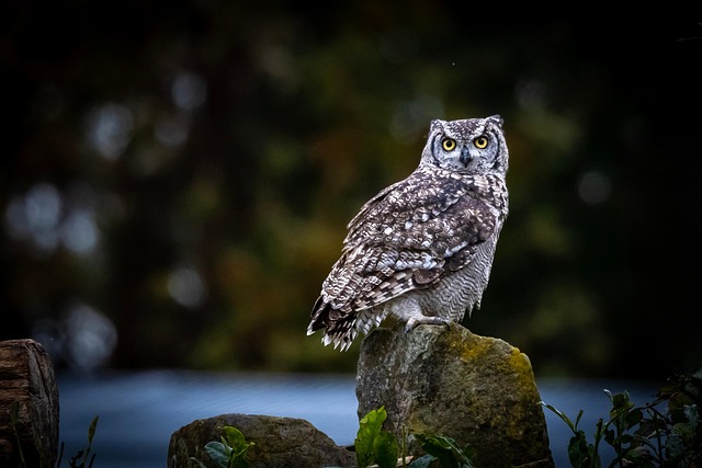 Consommer durable en 2024 renouez avec la nature et adoptez un mode de vie écoresponsable[Attention, renvoie bien le nombre de mots demandé]