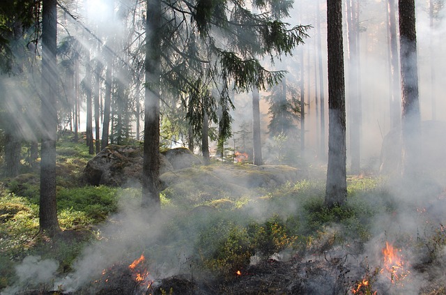 Consommer en 2024 Révolutionnez votre impact écologique avec des choix naturels[Attention, renvoie bien le nombre de mots demandé]
