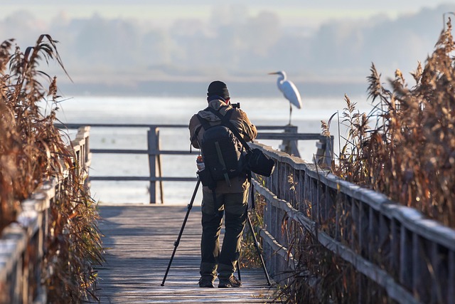 Consommer durable en 2024 comment allier nature et modernité[Attention, renvoie bien le nombre de mots demandé]