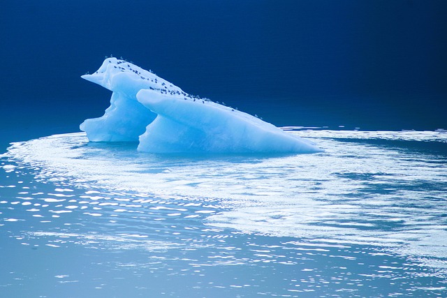 2024 Consommation durable explorez la nature et adoptez des habitudes écoresponsables[Attention, renvoie bien le nombre de mots demandé]