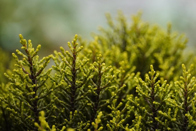 Consommer durablement en 2024 les choix qui préservent la nature[Attention, renvoie bien le nombre de mots demandé]