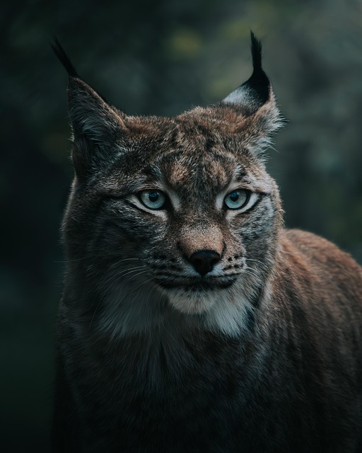 Consommer durablement en 2024 explorer la nature pour réduire notre empreinte écologique[Attention, renvoie bien le nombre de mots demandé]