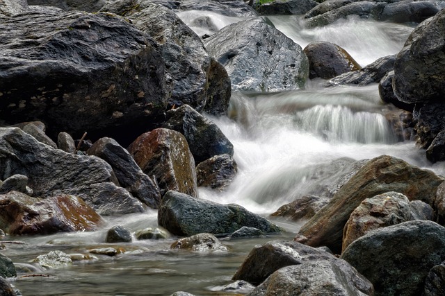 Renouer avec la nature en 2024 astuces écoresponsables pour réduire votre consommation[Attention, renvoie bien le nombre de mots demandé]