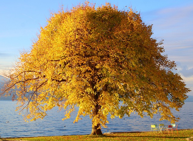 Consommer durable en 2024 les clés pour allier nature et écoresponsabilité[Attention, renvoie bien le nombre de mots demandé]