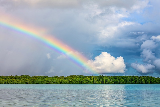 Consommer moins en 2024 tout en préservant la nature et sa biodiversité[Attention, renvoie bien le nombre de mots demandé]