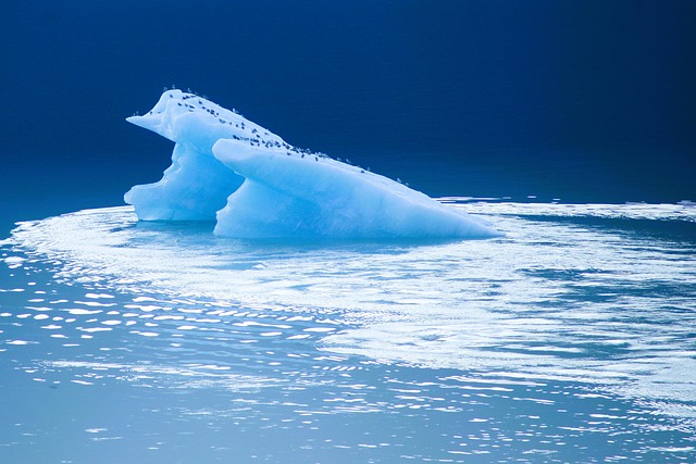 Consommer autrement en 2024 allié nature et responsabilité pour un futur durable[Attention, renvoie bien le nombre de mots demandé]