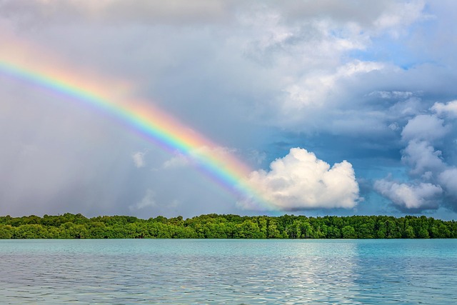 Consommer durable en 2024 astuces nature pour un mode de vie écoresponsable[Attention, renvoie bien le nombre de mots demandé]