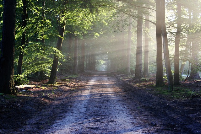 Consommez vert en 2024 et découvrez la nature autrement[Attention, renvoie bien le nombre de mots demandé]